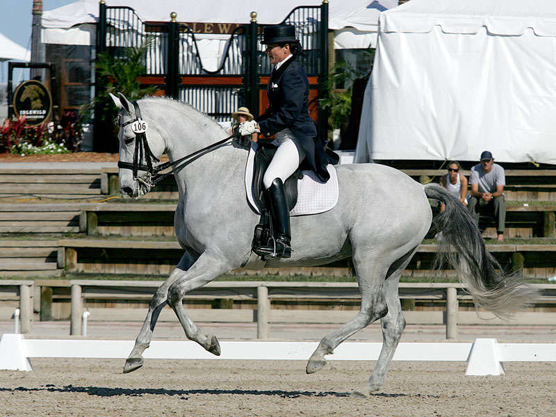 Un poco de hipología: los aires del caballo