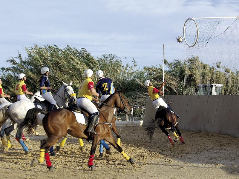 O que é o Horseball e como se joga - Centro Equestre Vale do Lima