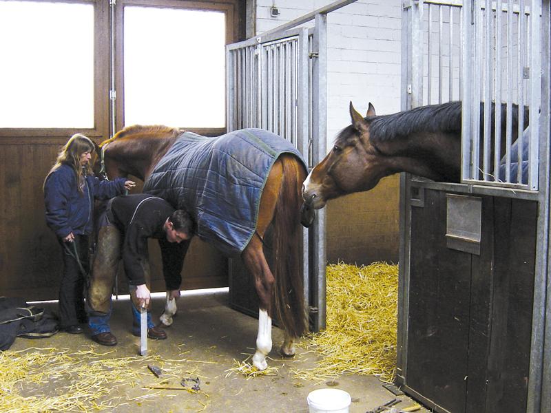 Herradores de caballos en acción