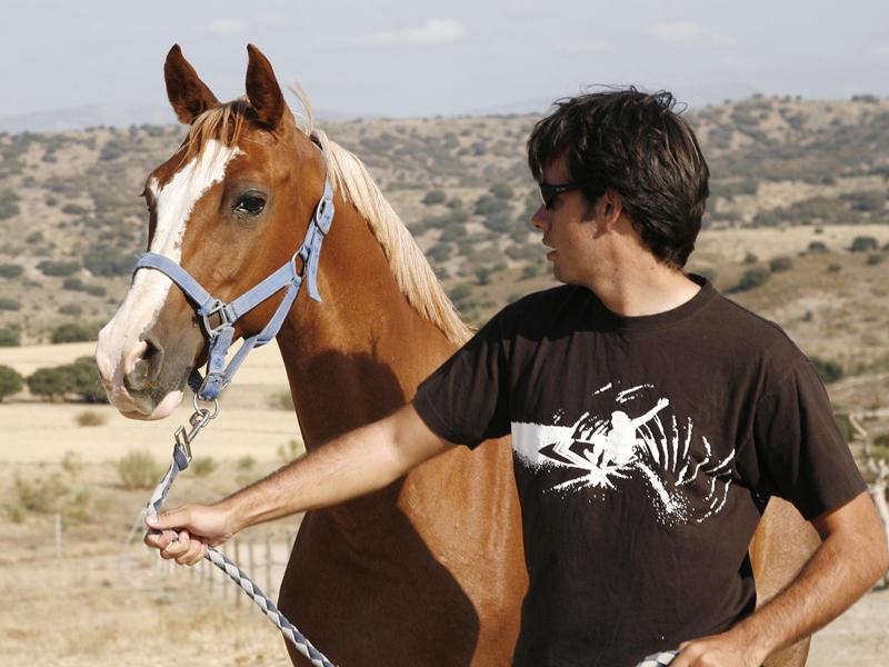 Protectores con abertura frontal para caballos Roma 