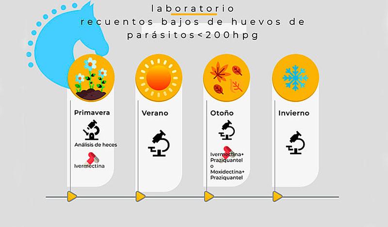 Un buen plan de desparasitación, esencial para el control del caballo