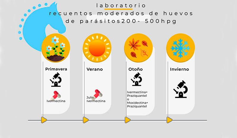 Un buen plan de desparasitación, esencial para el control del caballo