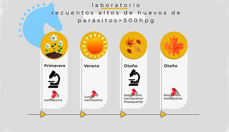 Un buen plan de desparasitación, esencial para el control del caballo
