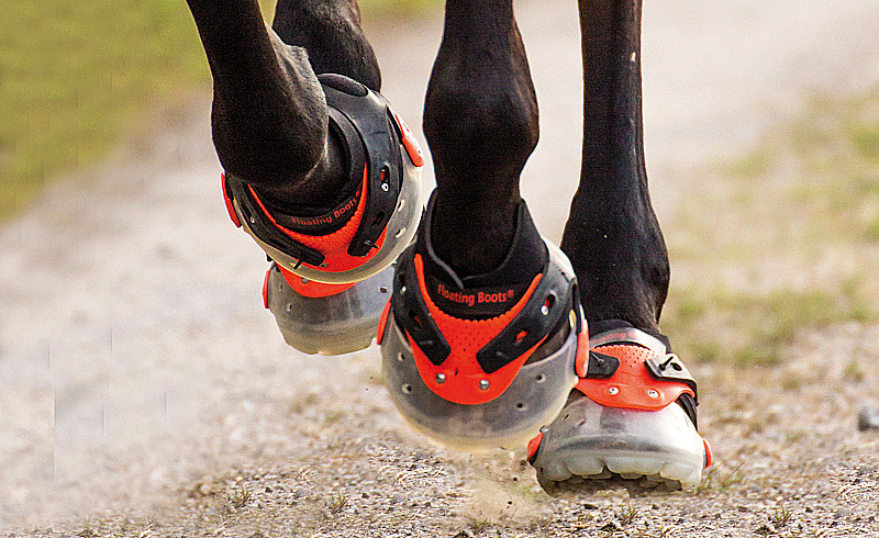 collar En realidad estético Has pensado en emplear botas para tu caballo? Ecuestre te ayuda a elegirlas